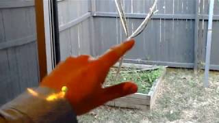 Hololens - Hand Tracking