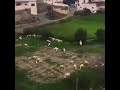 الله ياوقت مضى