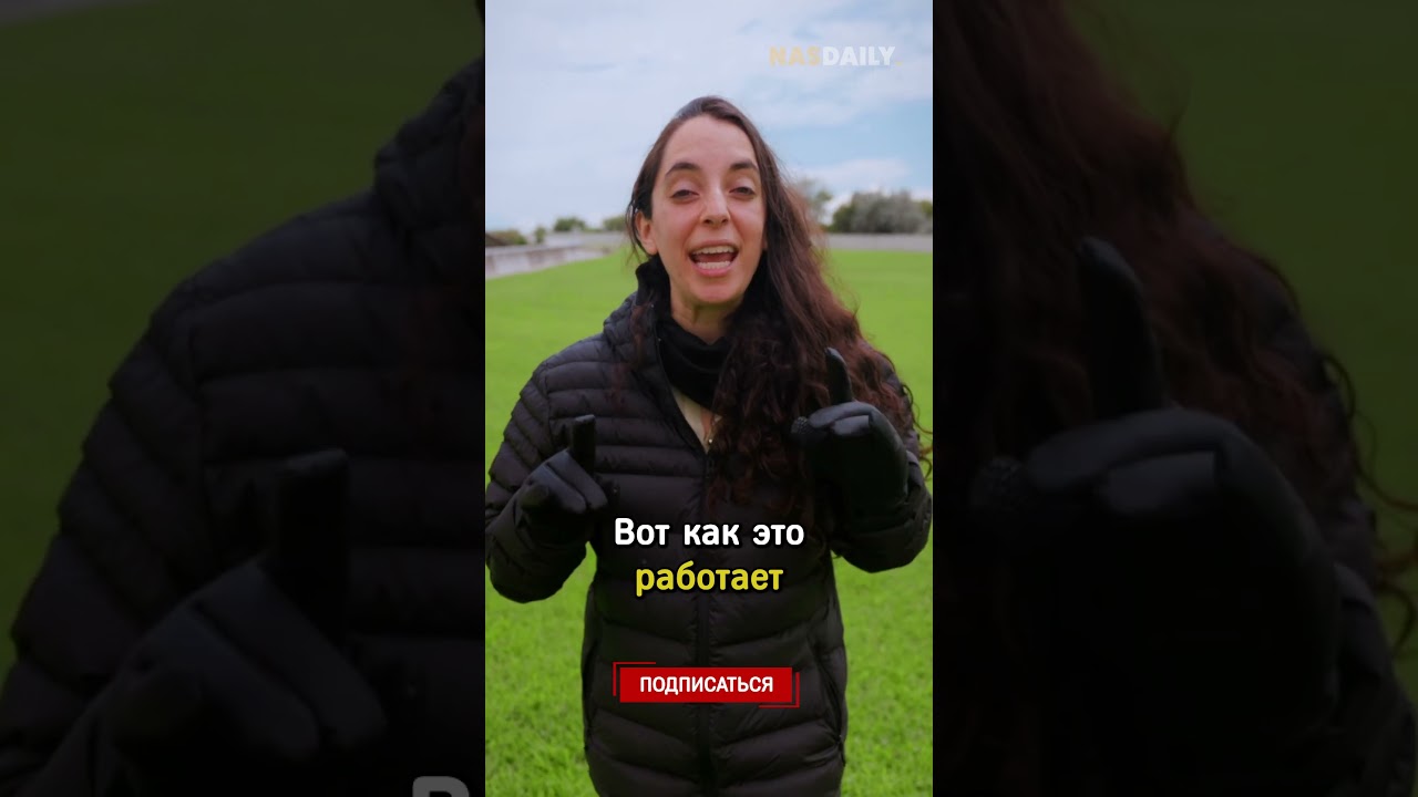 Почему в Дании самый чистый мусор?