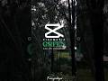Cinematic Green Color#shortsvideo #viral #edit #lightroom #short #everyone #foryou#feedshorts#capcut