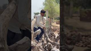 Farming is best 🥰#dailyvlog #trending #vlogs
