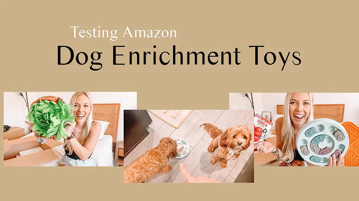 Testing Amazon Enrichment Toys For Dogs | Archie a...