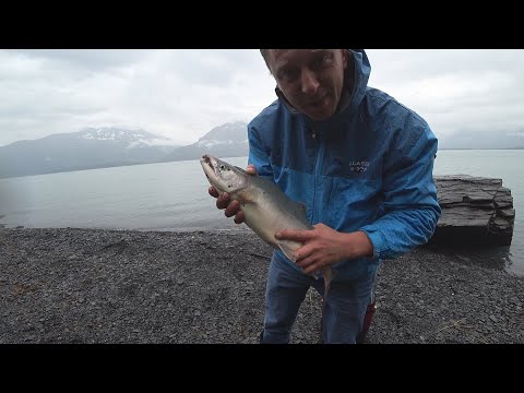 Видео: Основните житейски умения, израстващи в Аляска, ви оборудва