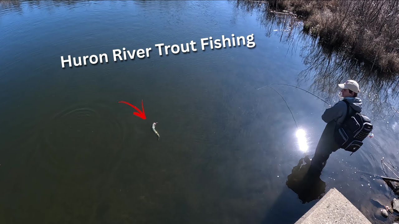 Trout Fishing on the Huron River Michigan!