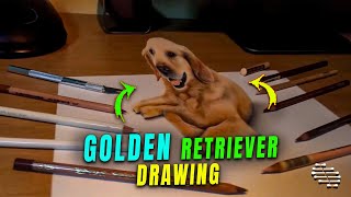3D Drawing of a Golden Retriever