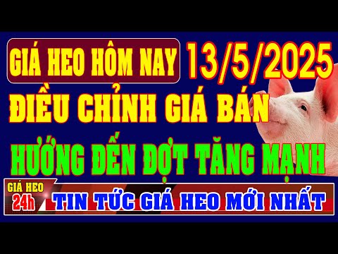 Giá heo hơi