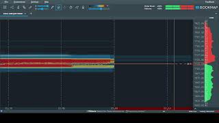 ES BOOKMAP LIVE ( نقدینگی های قیمت ) (18/08/2026)