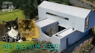 [ENG] 고양이 런웨이가 펼쳐지는 2층 단독 주택! 8M 파노라마 창문 앞에서 걸어봤니?ㅣ고꿈집3 with @arirang3