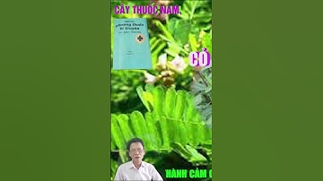 Short Thuốc Bổ Thận Cây Thuốc Nam Cây Cỏ Mực Cây Nhọ Nồi Bồi Bổ Thận