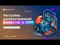 Настройка распространения маршрутов в OSPF