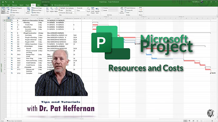 MS Project 5 - Resources and Costs