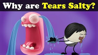 Why are Tears Salty? + more videos | #aumsum #kids #science #education #children