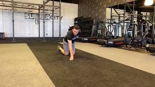 Contralateral Plank
