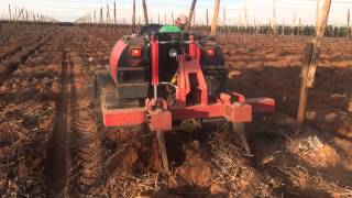 Same Krypton 90 With 1.2M Ripper