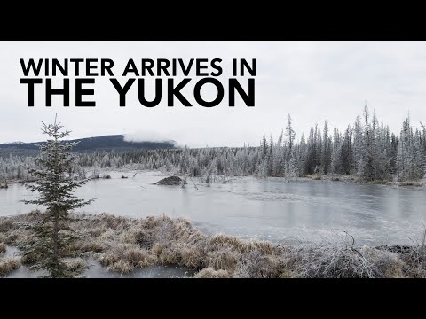 سرزمین یوکان کانادا و وایت هورس با رسیدن زمستان سرد