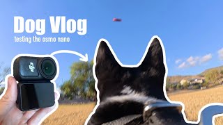 Dog Vlog Testing the Osmo Nano