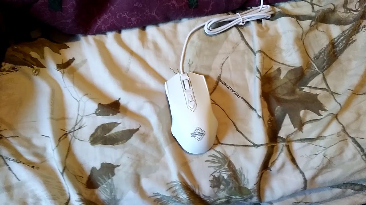 Computer Mouse YouTube