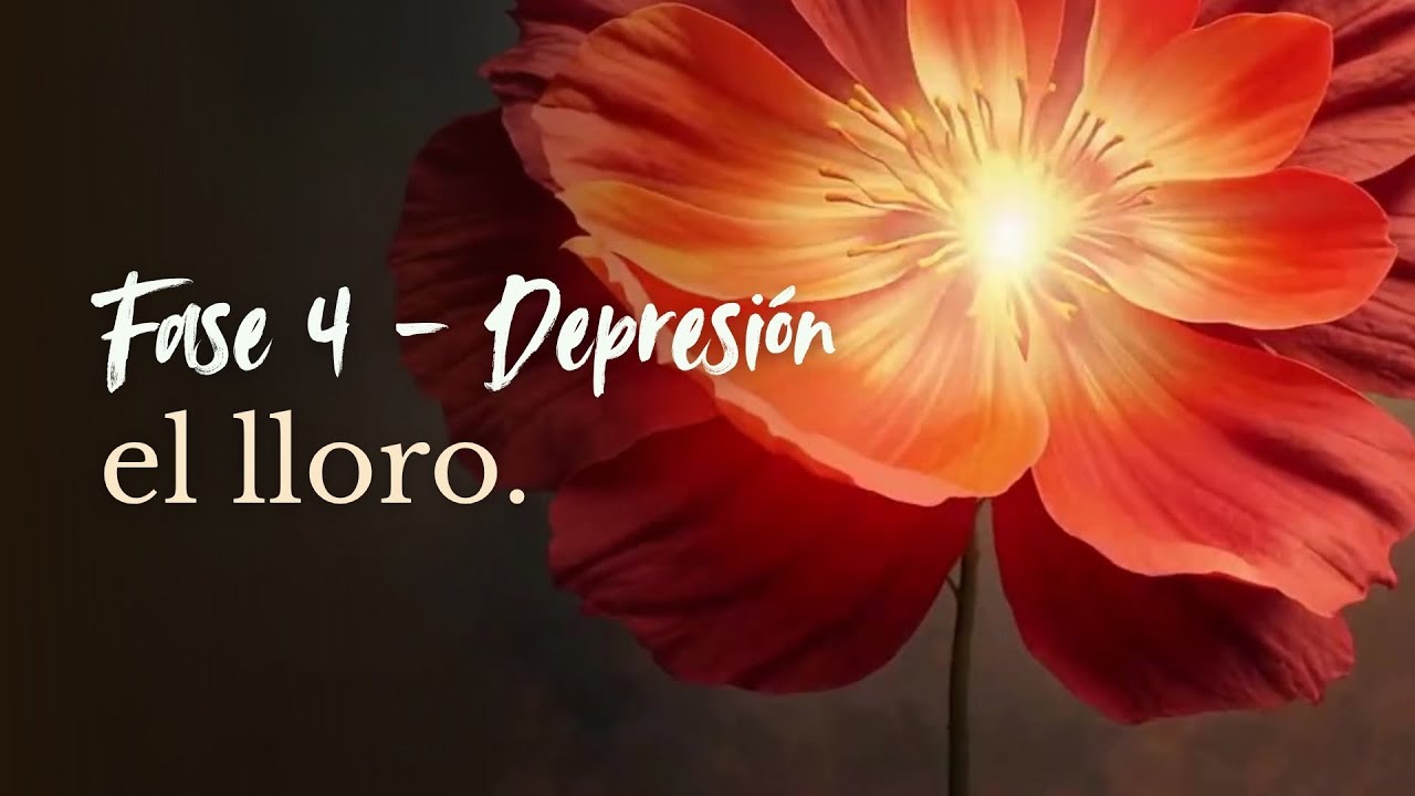 FRANS C - El lloro (Official Audio)