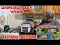 Заморозили 5 ведер черешни|у меня маленькие гости|вареники с черешни