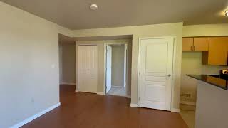 Olympus Apartments - Unit 540 -  One Bedroom 802