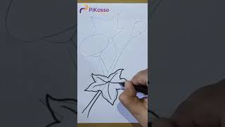 How to Draw a Cotton Plant Easy in The Right Way