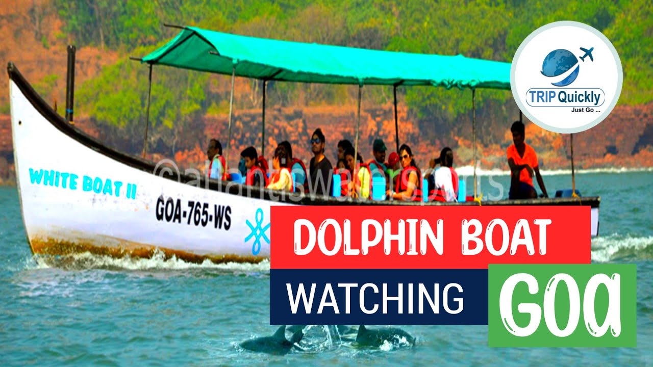 Dolphin boat ride // Coco beach // goa//  TripQuicklyTourism✈️❤️
