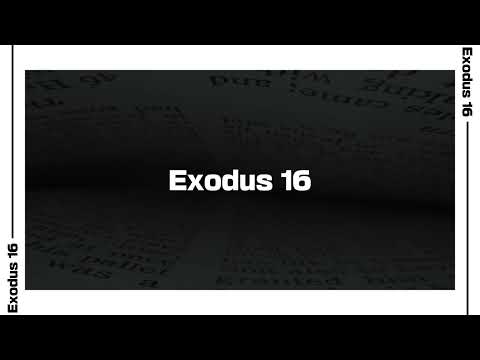 Exodus 16 Bible Reading | NIV