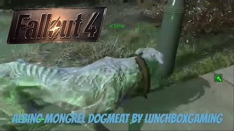 Fallout 4 Xbox One Mods|Albino Mongrel Dogmeat