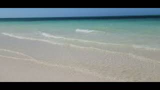 The colour of the water, the gentle waves, could watch forever... Cuba March 2025