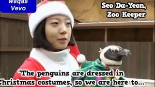 Cut For Time: Christmas Romance -Penguins