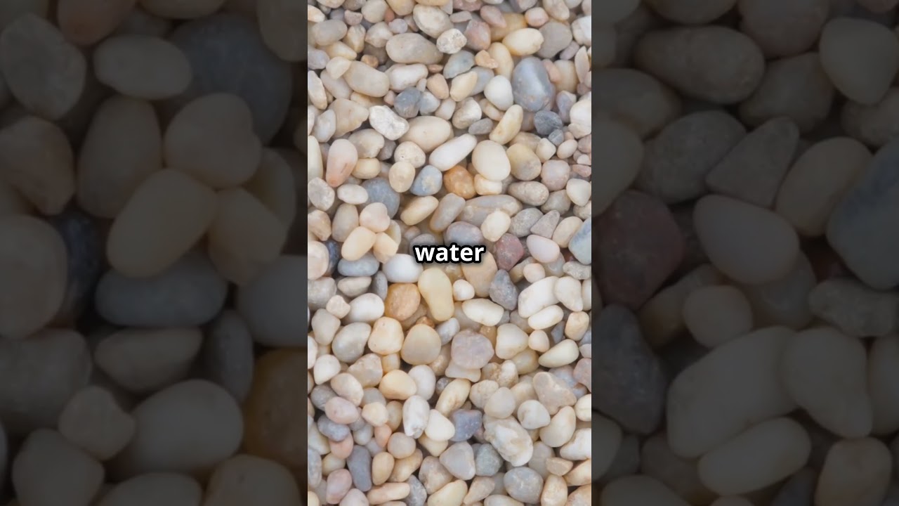 Top 3 Unique Landscaping Hacks You Need to Try! 