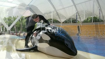 I Got You - Orca MEP Part 1