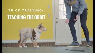 Trick Training: Teaching the Orbit