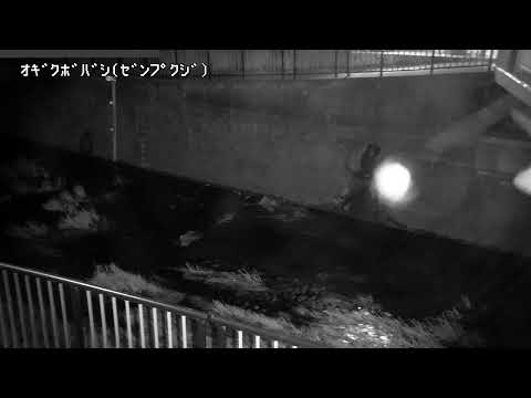 Zenpukuji River Ogikubo Bridge live cam preview