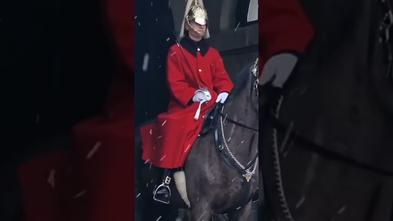 Snowing at horse guards 
