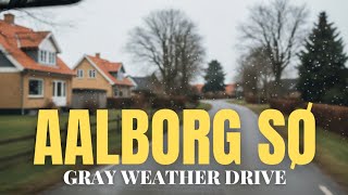 Driving Through Aalborg SØ | Denmark Car Window View in Gray Weather screenshot 5