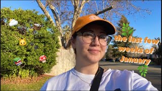Liv's Weekly Journal: Entry 2 🧡 nature walks, college, and lots of cats by Olivia Rose Bean 22 views 2 months ago 16 minutes