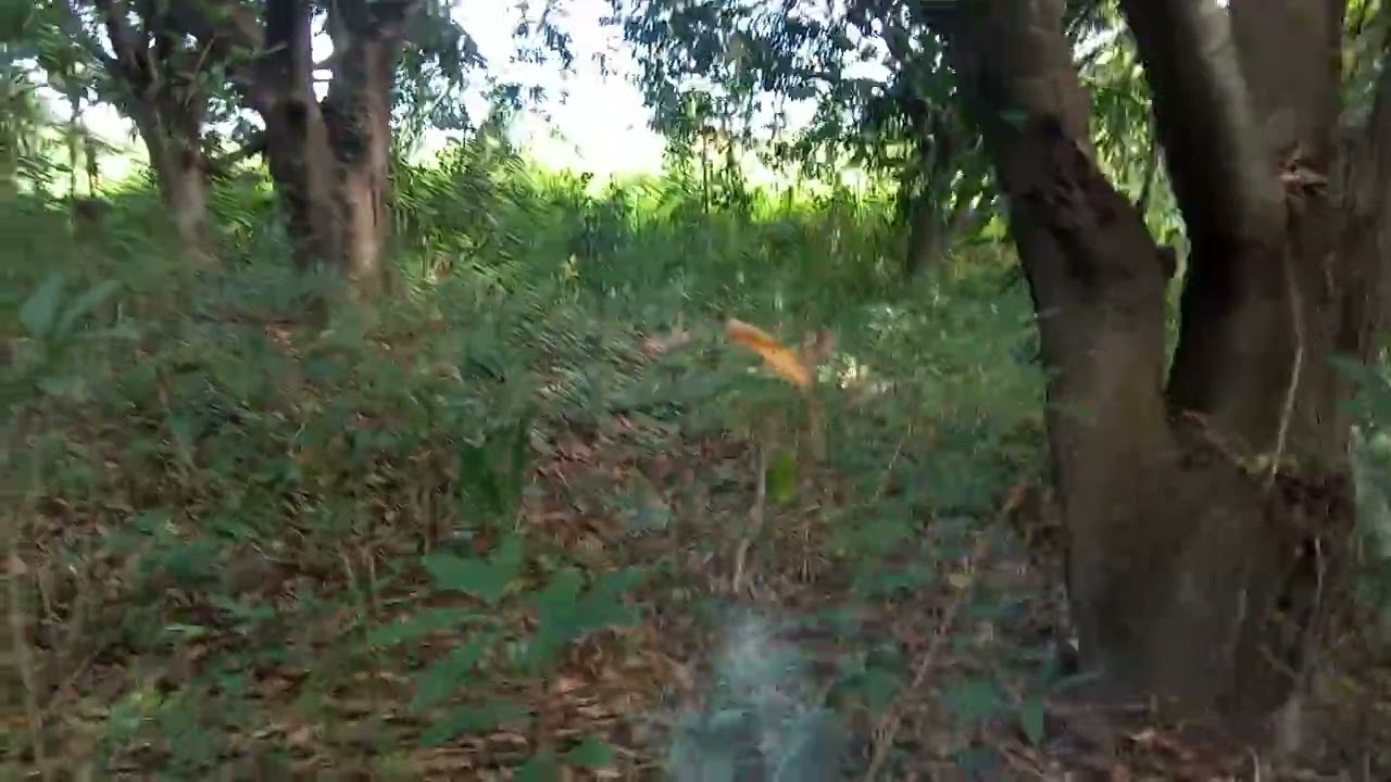 Sukona sila guys sapag ibak 😂🤣