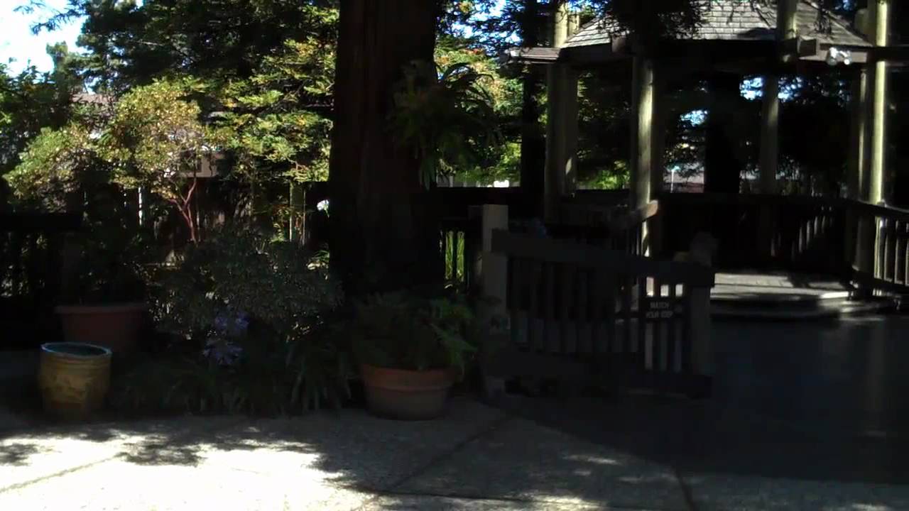 San Mateo Garden Center - YouTube