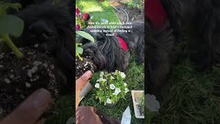 Brb Adding Designer To My Resume