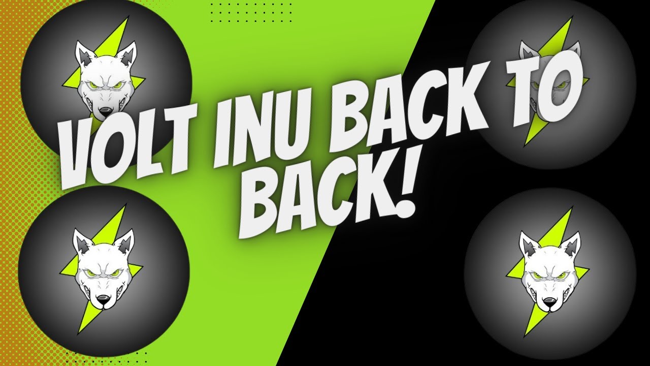 Volt Inu Back To Back - YouTube