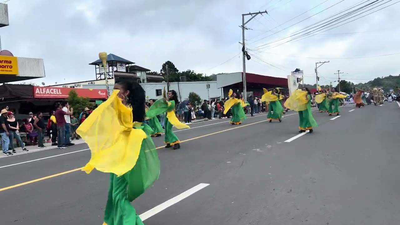 Banda de música Colegio Ingeniero Tomas Guardia - Parada de las flores