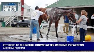 Visit horse racing nation - http://www.horseracingnation.com/ for all
the latest kentucky derby news. *** if you want to crush derby, need
t...