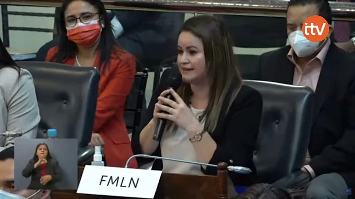 Primer intercambio de criticas entre la diputada D...
