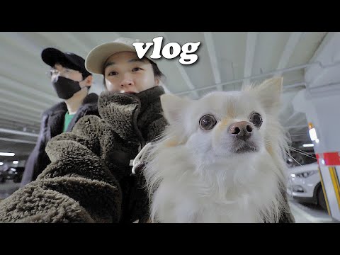vlog 육아안하는날 별거없는 일상 모음집 (근데 <strong>송파</strong> 단골 맛집을 곁들인..)