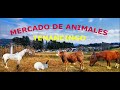 MERCADO DE ANIMALES 16 DE ENERO DEL 2022; TENANCINGO ESTADO DE MÉXICO.