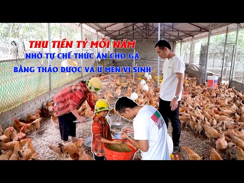 Video Nuôi gà bằng thảo dược - cách làm mới, hiệu quả cao |... - youtube