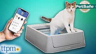 SelfCleaning Litter Box Review  ScoopFree | PetSafe | TTPM Pet Review