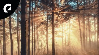 Bladverk Band - Viljan (Royalty Free Jazz)