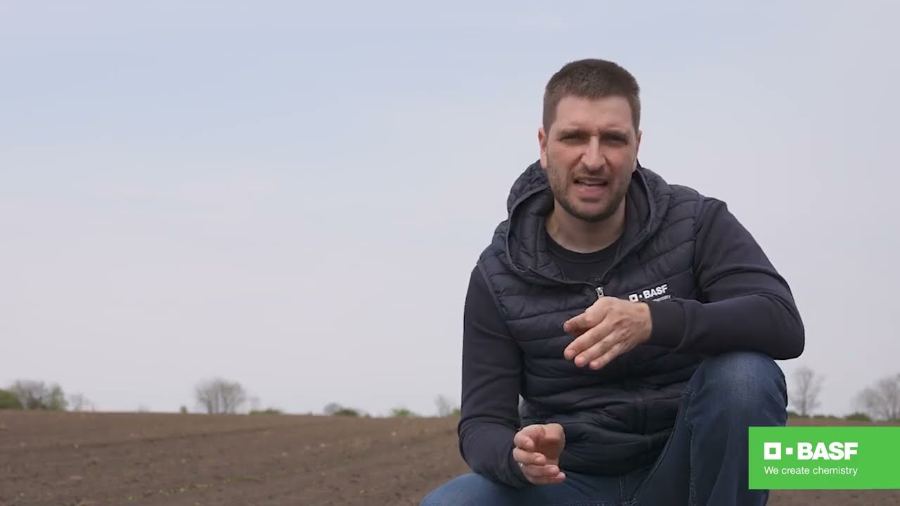 BASF Agro Patrola 2021 - Šta raditi kada soja nikne a pojave se korovi?